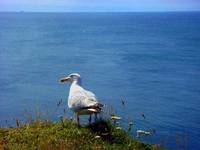 Helgoland