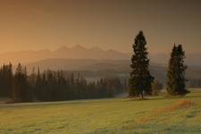 poranny widok na Tatry