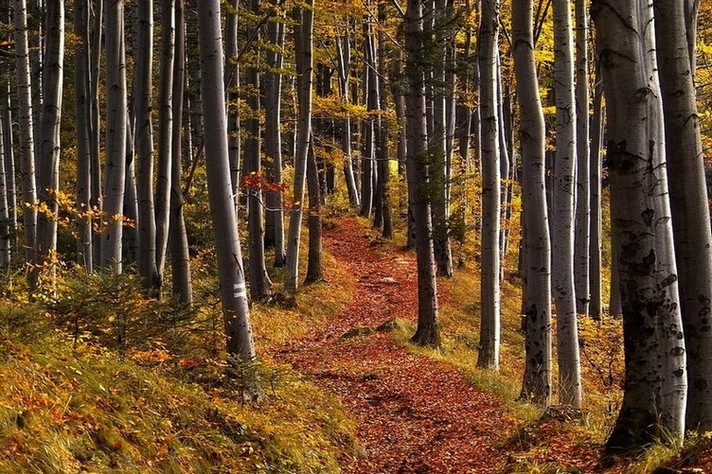 Beskid Sądecki