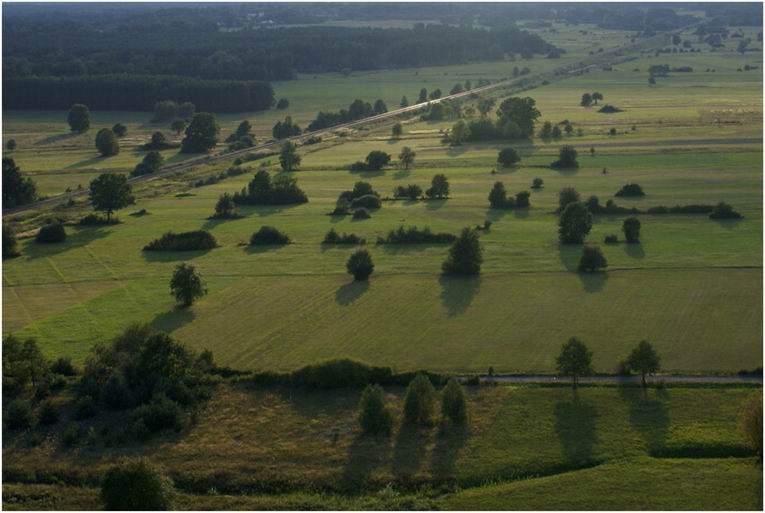 strefa dziwnego swiatła