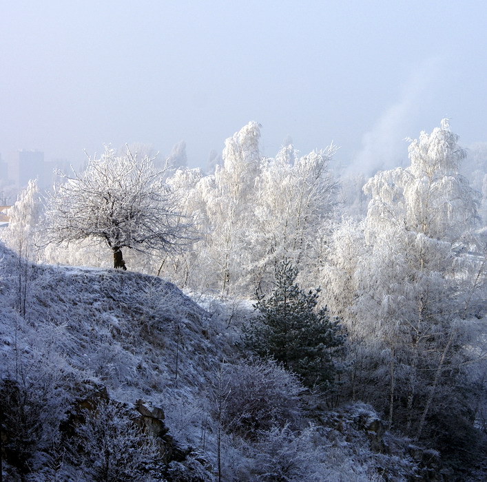 Szadziowy widok