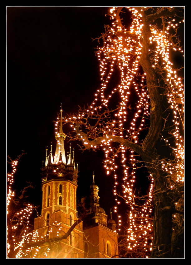 Kościół Mariacki Kraków - zaplątany