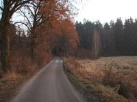 jesień