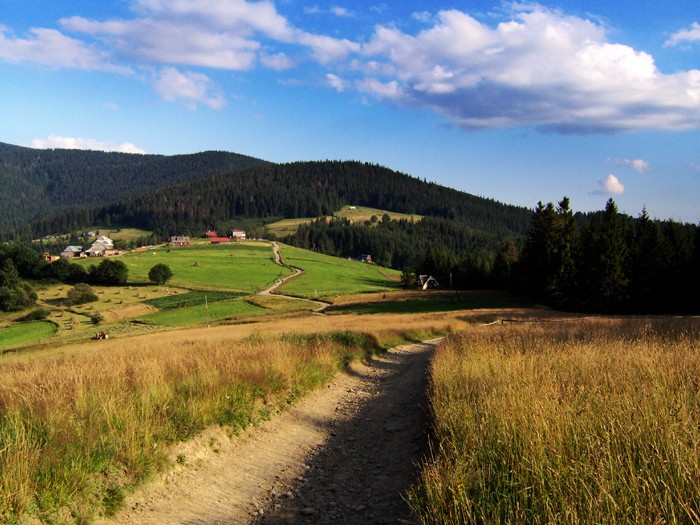 Hala Boracza - Beskid Śląski