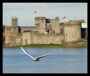 King John Castle w Limerick (Irlandia)