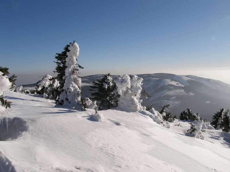 śnieżnik