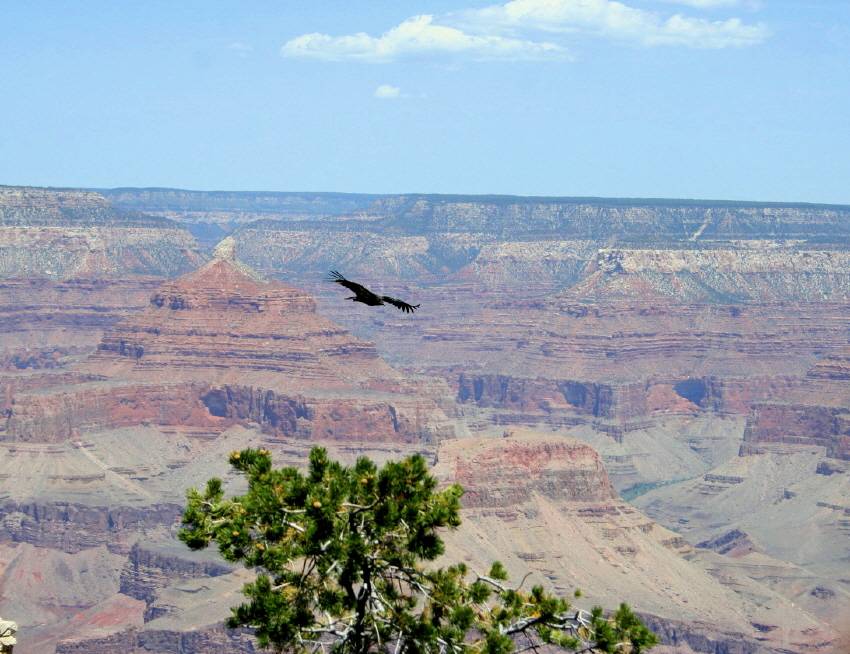 Grand Canyon