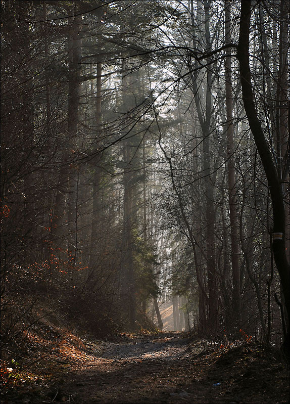 Na Bereśnik