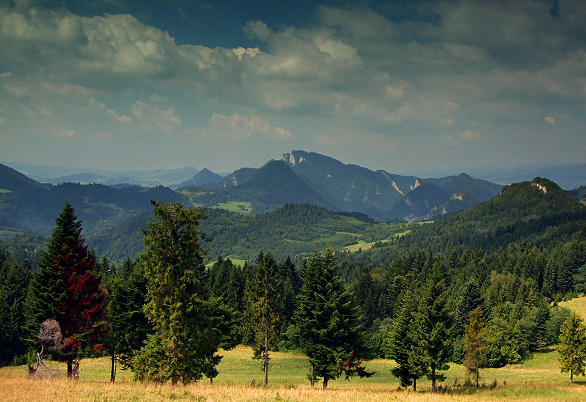 Pieniny