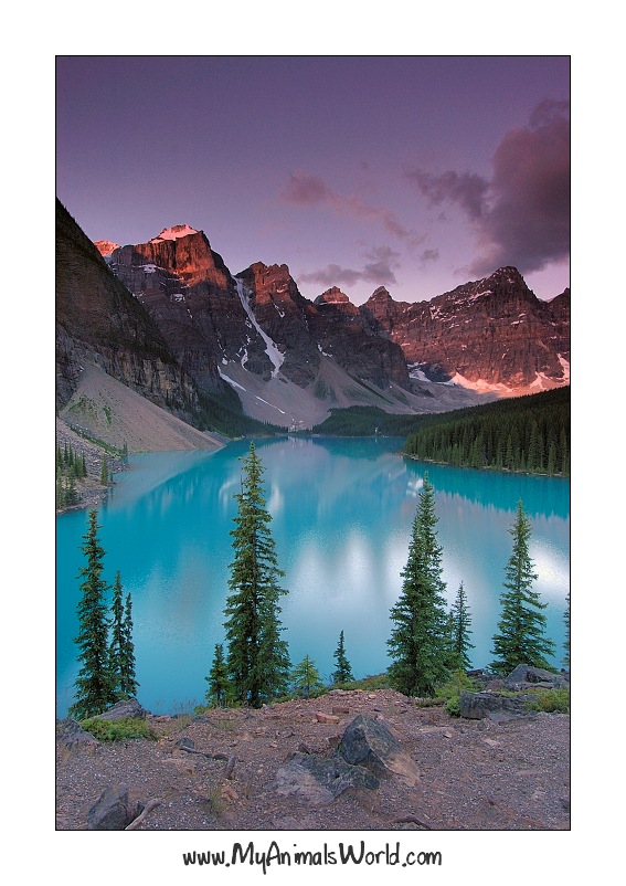 Moraine Lake