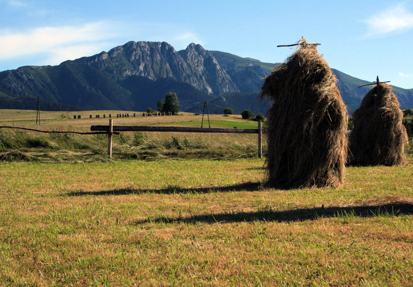 Tatry