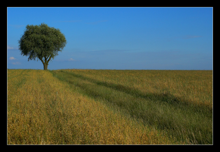 Podlasie