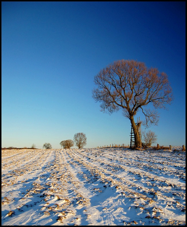 warmia tuż po wschodzie słońca