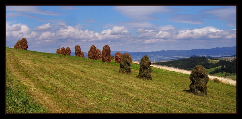 Różnokolorowe kopki