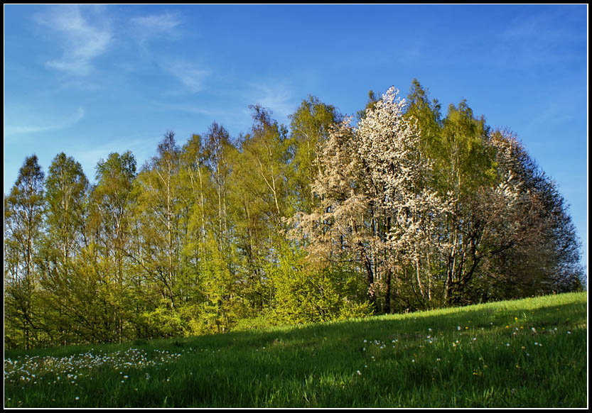 Czekam aż wróci