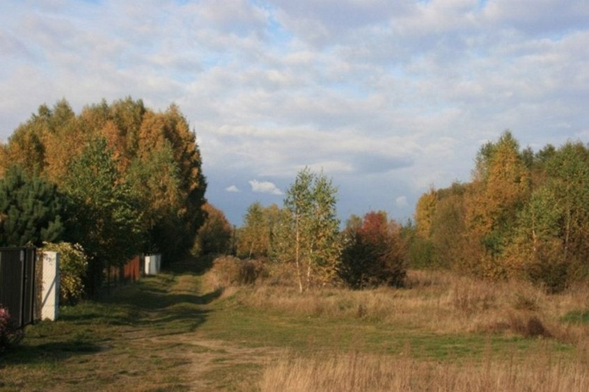 panorama lasu