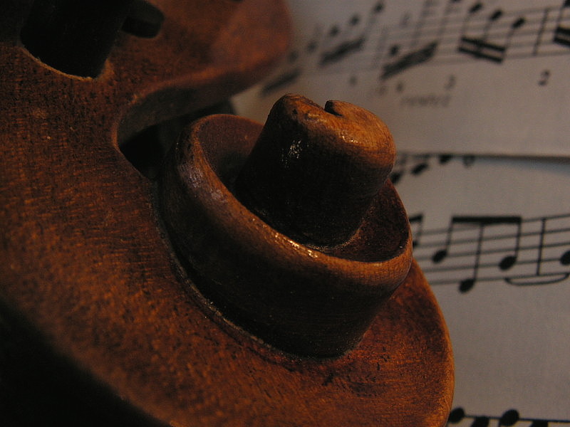 violino