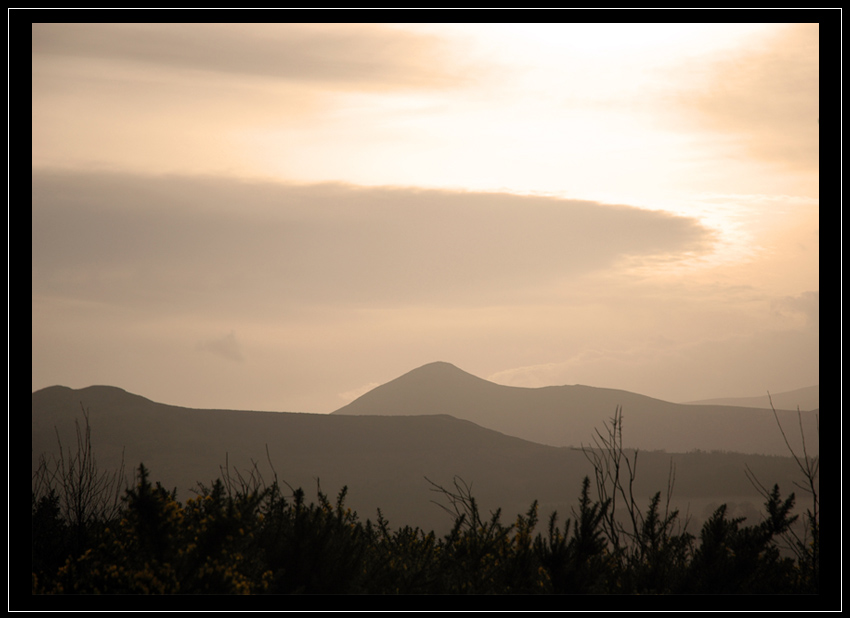 Irish at evening