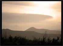 Irish at evening