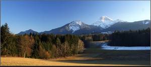 Oberaichwald - Austria