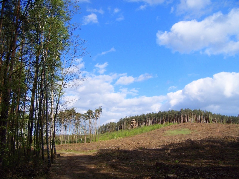 Wieża widokowa Jagoda -wiosna 2007