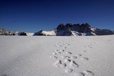 dents du midi