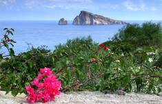 Isola di Panarea