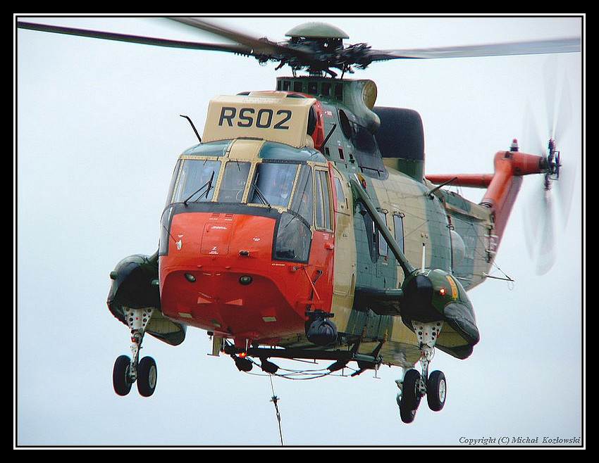 Sea  King