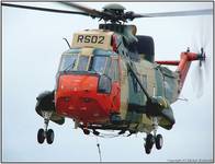 Sea  King