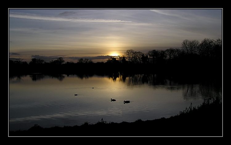 Corkagh Demesne Park-Dublin-Irlandia