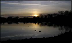 Corkagh Demesne Park-Dublin-Irlandia