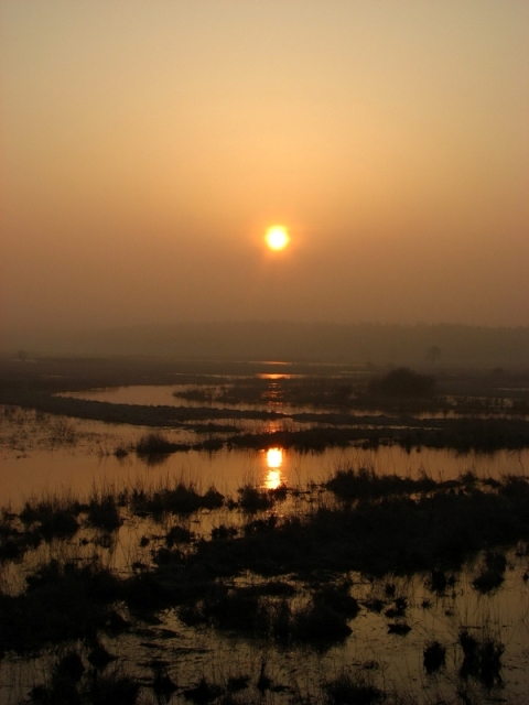 Wschód Narew