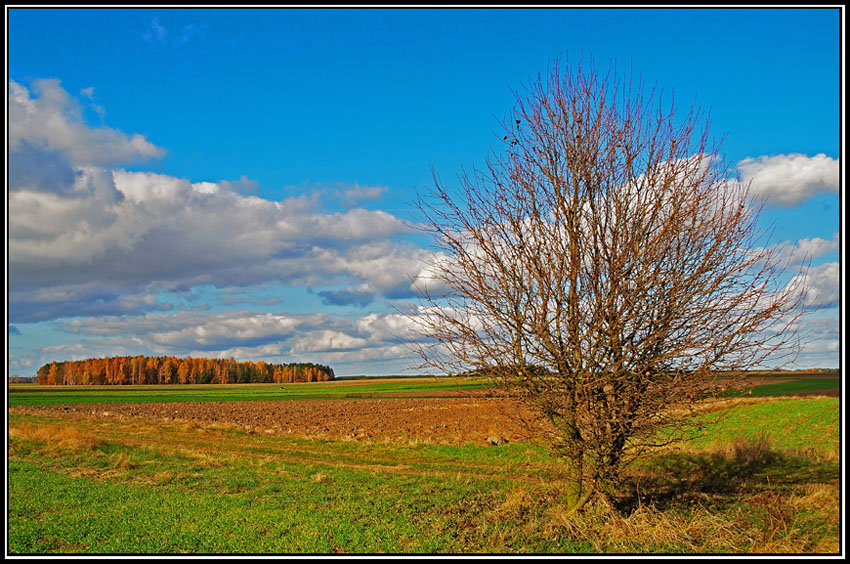 cukierkowo, kolorowo