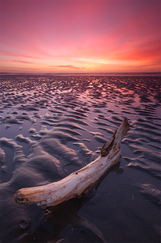 Murlough beach this morning