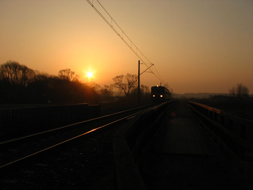 Poranek nad Biebrzą