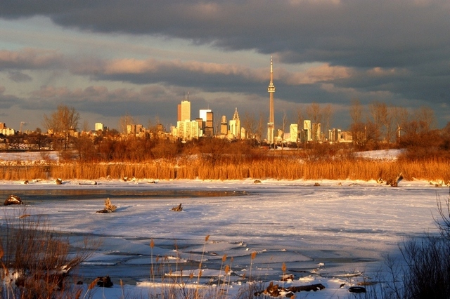 Zima wToronto