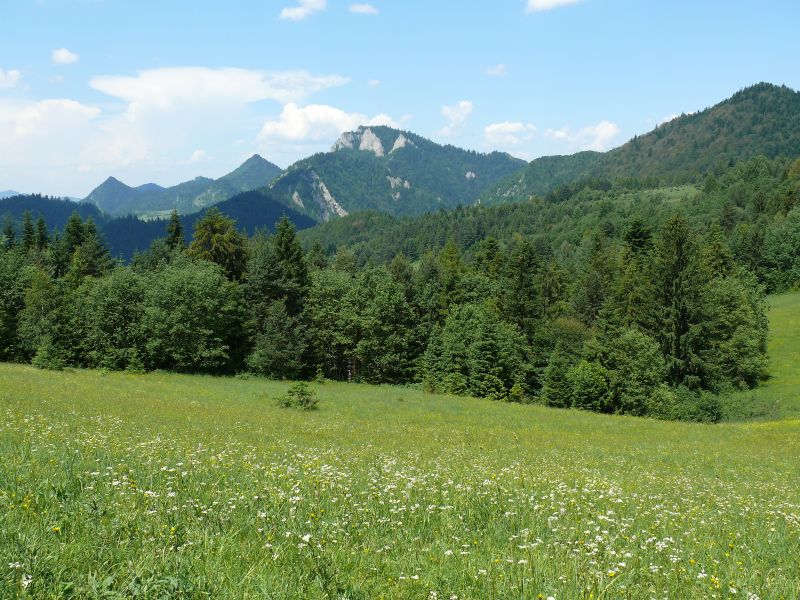 Pieniny i Trzy Korony