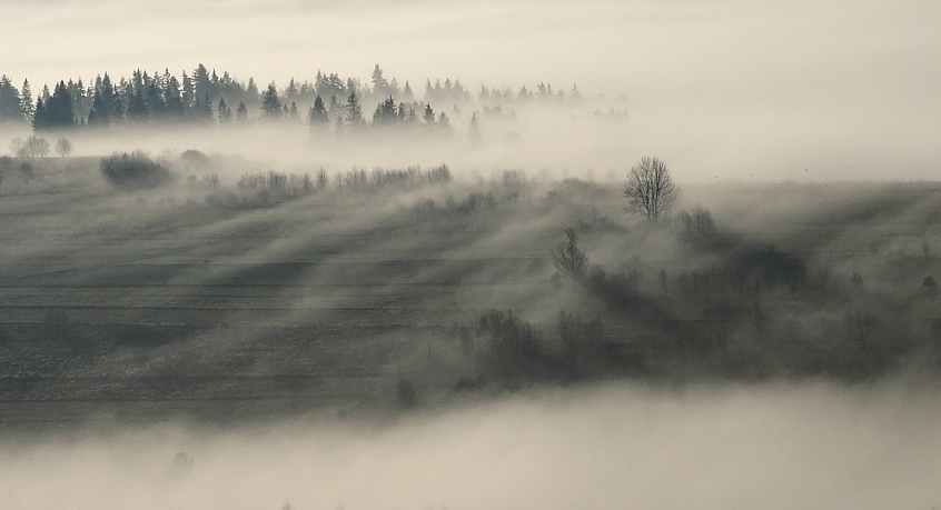 Pienińskie mgiełki