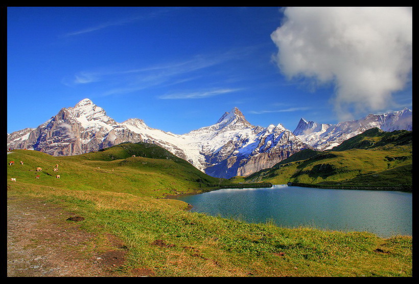 Bachalpsee 2