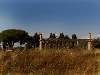 Paestum