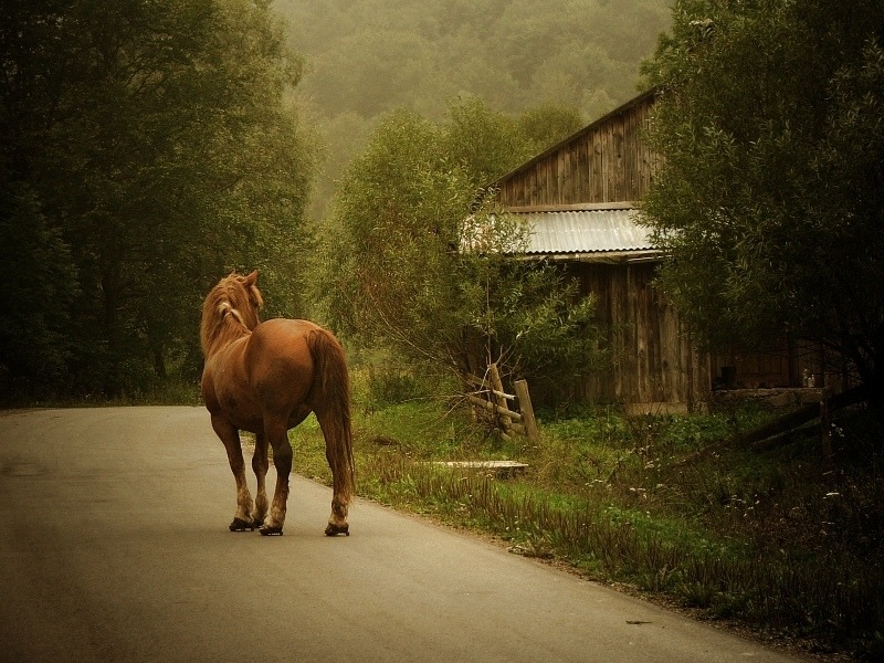 bieszczady