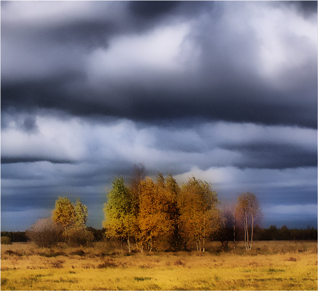 Jesień nad Biebrzą