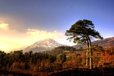 Glen Affric