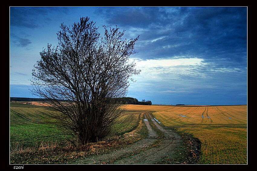 rozjeżdżone ,  pola ...