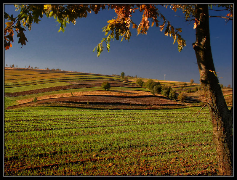 --- pejzaż ---