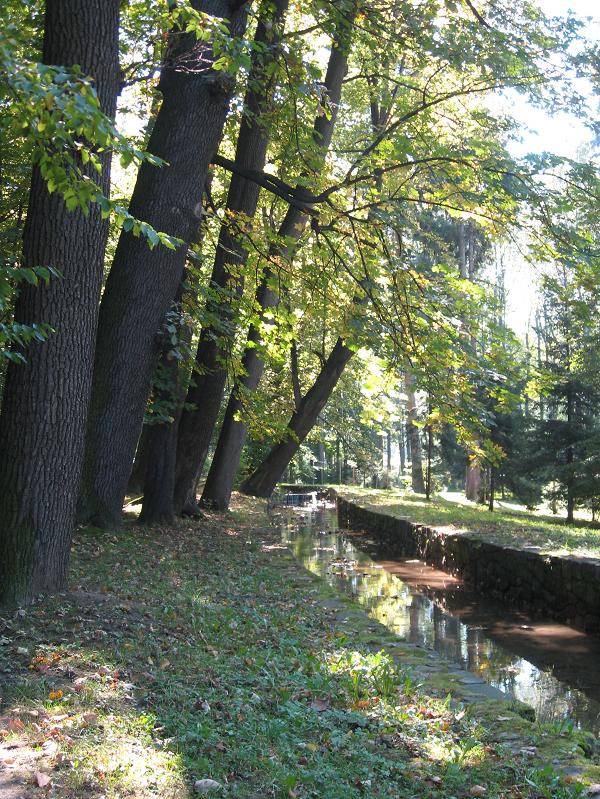 pochyleni nad obliczem