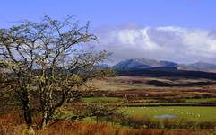 Arran Isle