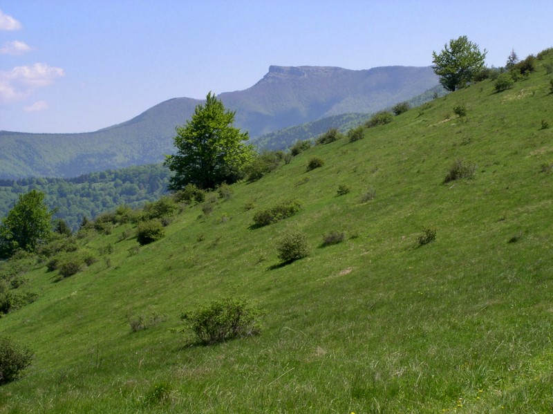 Majowa Słowacja