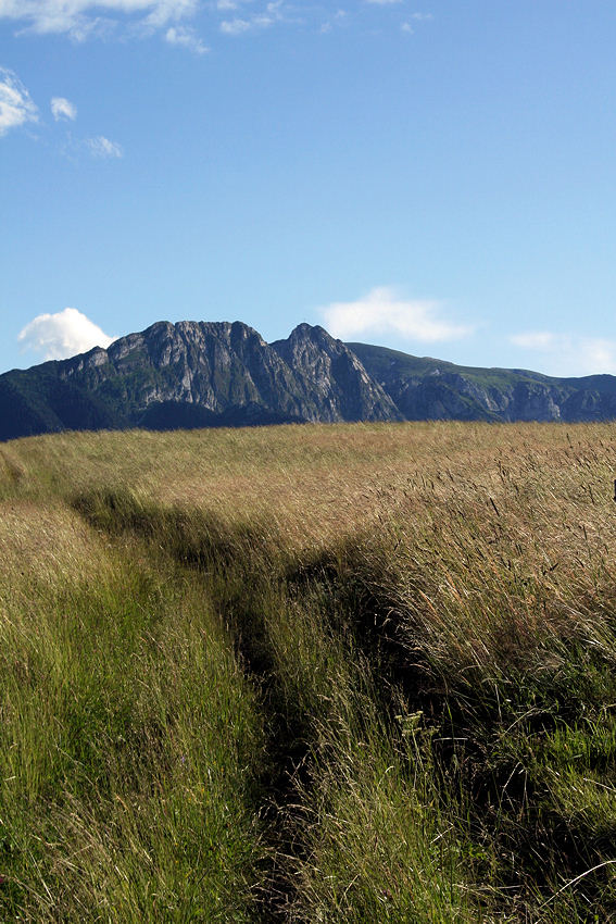 Tatry