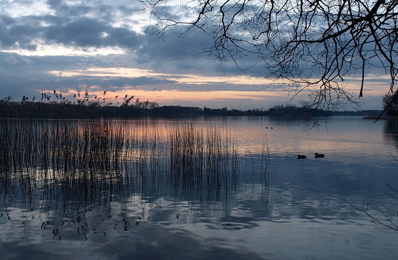 Swiat w różowych okularach